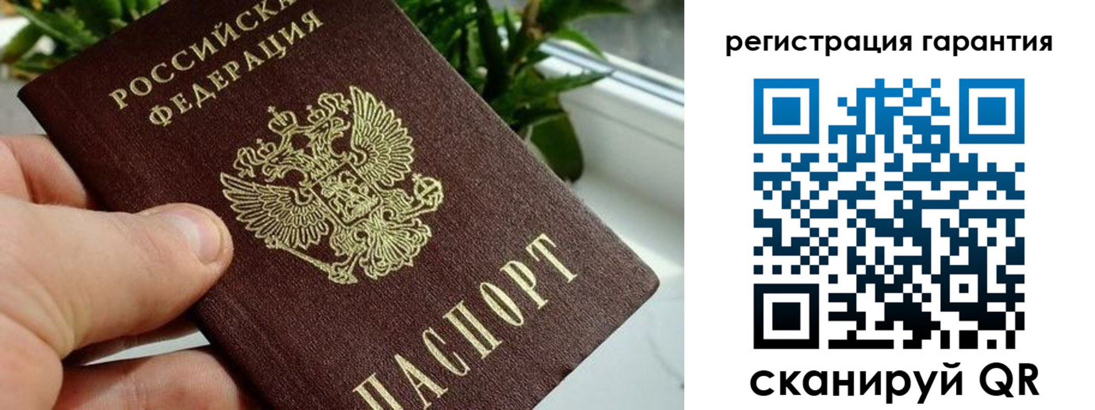 временная регистрация надежно в Курской области